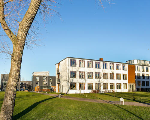 1 værelses lejlighed i København K