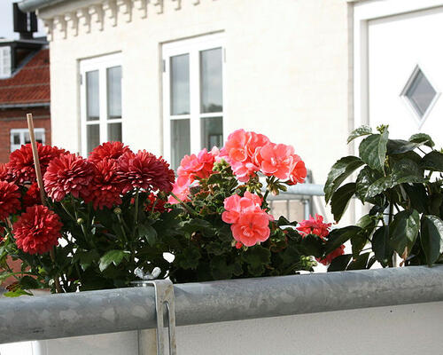 3 værelses lejlighed i Nexø