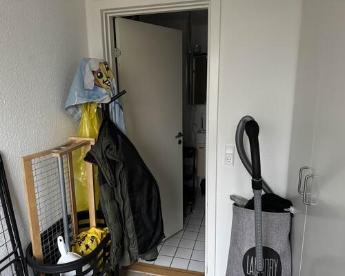 Nydelig 1. værelses lejlighed