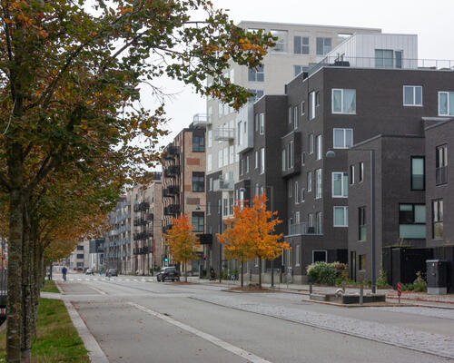 2 værelses lejlighed i København S