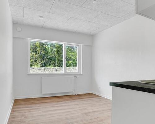 Nyrenoveret lejlighed