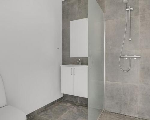 Nyrenoveret lejlighed