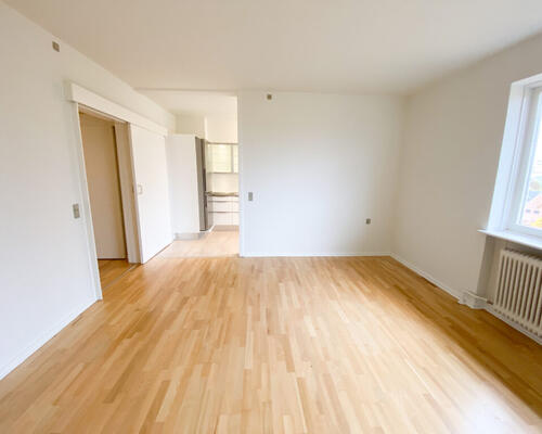 Rummelig 2-værelses lejlighed i Nørresundby