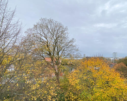 Rummelig 2-værelses lejlighed i Nørresundby