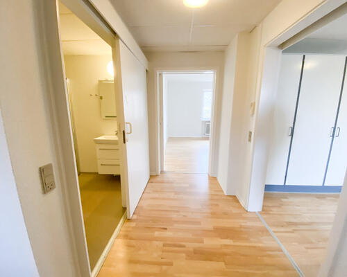 Rummelig 2-værelses lejlighed i Nørresundby