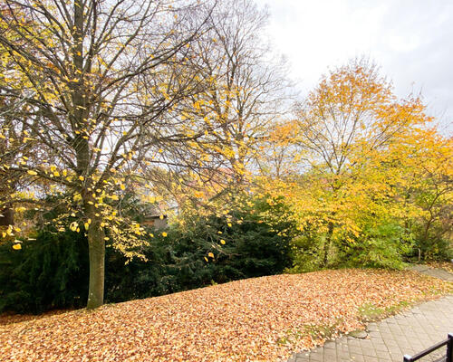 Rummelig 2-værelses lejlighed i Nørresundby