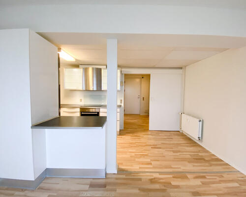 Dejlig 2-værelses lejlighed i roligt område