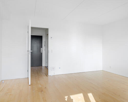 Stor 1-værelses lejlighed på 49 m²