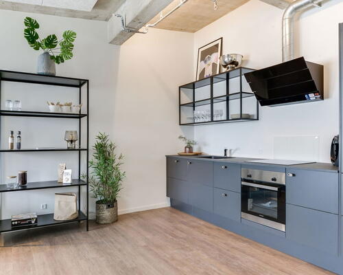 Unik New-Yorker lejlighed med industriel charme i Aalborg Vestby