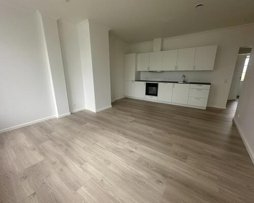 2 værelses lejlighed i Viborg