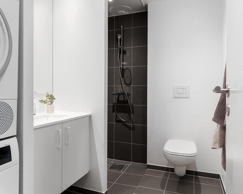 2 værelses lejlighed i København S