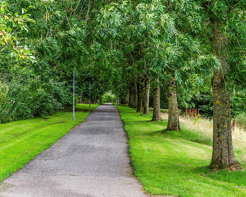 1 værelses hus i Herning