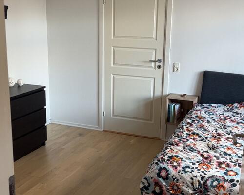 Stor nydelig 3. værelses lejlighed