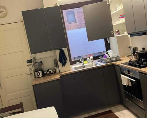 Vores familie søger bolig hvor vi kan have vores hund