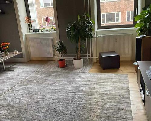 Vores familie søger bolig hvor vi kan have vores hund