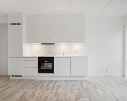 1 værelses lejlighed i Skovlunde