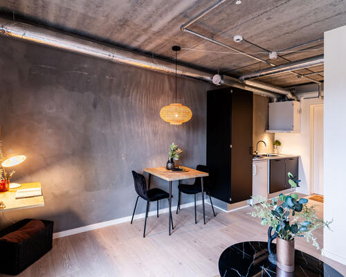 1 værelses lejlighed i Kongens Lyngby