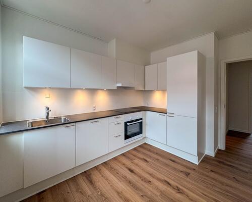 Nyistandsat lejlighed i hjertet af Vejle