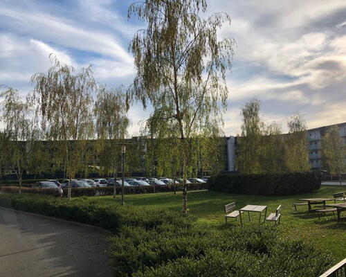 2 værelses lejlighed i Århus C