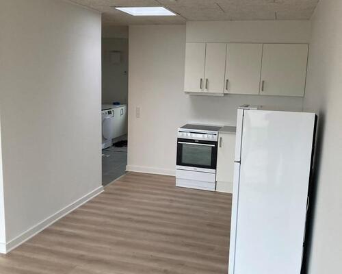 Nyrenoveret rækkehus