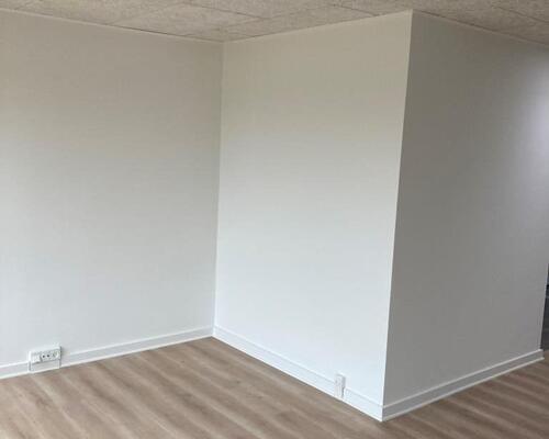 Nyrenoveret rækkehus