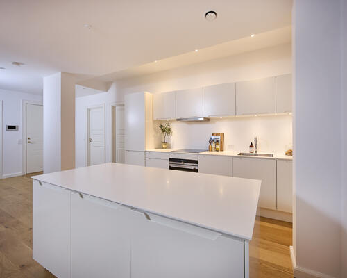 3 værelses lejlighed i København V