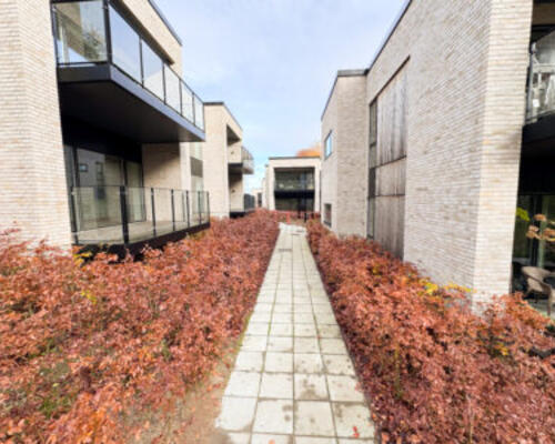 Nybygget og rummelig 3-værelses lejlighed i fantastiske omgivelser