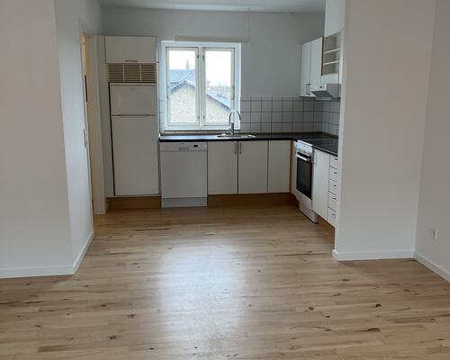 Velbeliggende i Nyborg