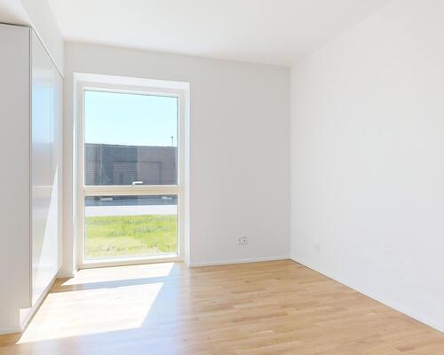 Teglgårdshaven - med udsigt ad libitum