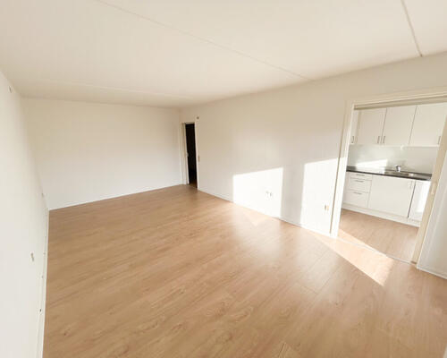 Lys og dejlig 2-værelses lejlighed med terrasse