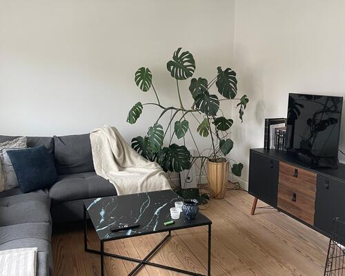 Dejlig 2 værelses lejlighed