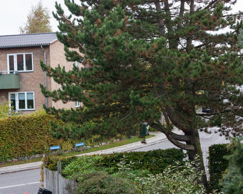 3 værelses hus i Søborg