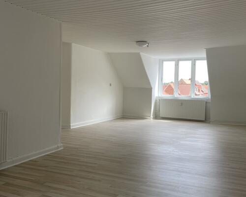 Hyggelig og rummelig stor lejlighed