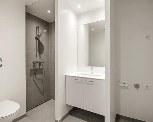 Falkely – nye moderne boliger i Ishøj