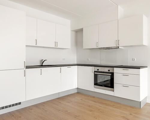 Falkely – nye moderne boliger i Ishøj