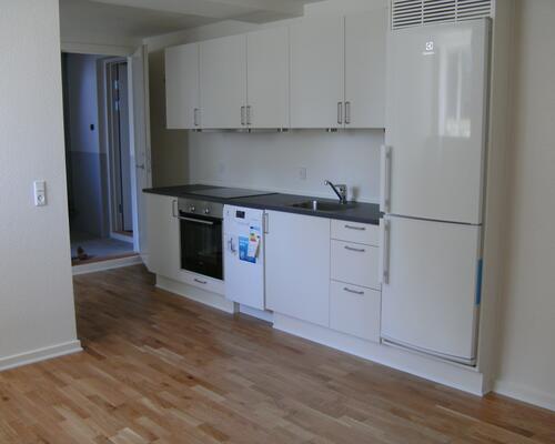 Istandsat 1-værelses lejlighed