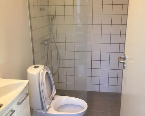 Istandsat 1-værelses lejlighed