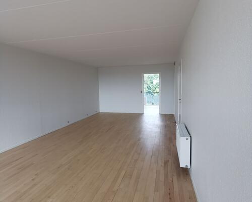 Delevenæig 3. værelses lejlighed