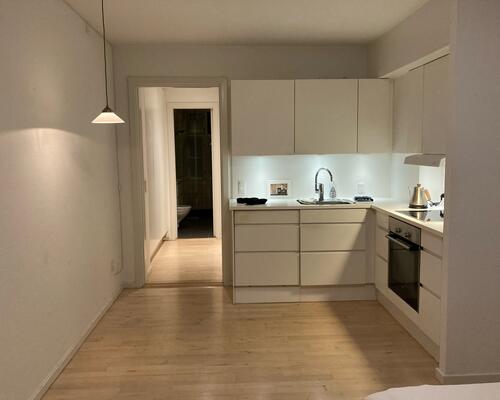 1 værelses lejlighed i København K