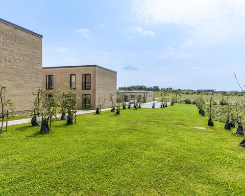 Velindrettet rækkehus i grønne omgivelser ved Kildebjerg, Ry