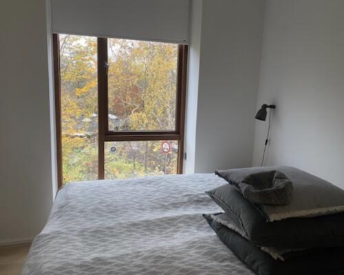 Skøn lejlighed ved Lyngby Sø.