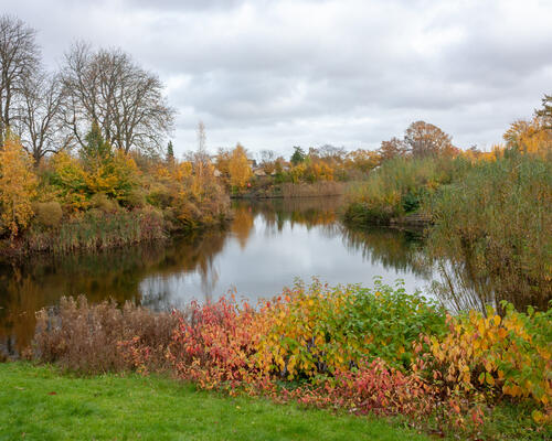2 værelses lejlighed i Rødovre