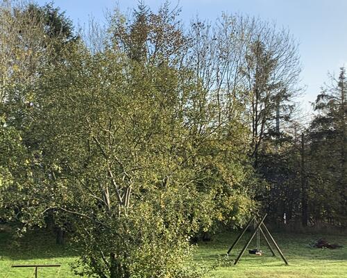 1 værelses lejlighed i Løsning