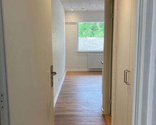 Nyrenoveret lejlighed