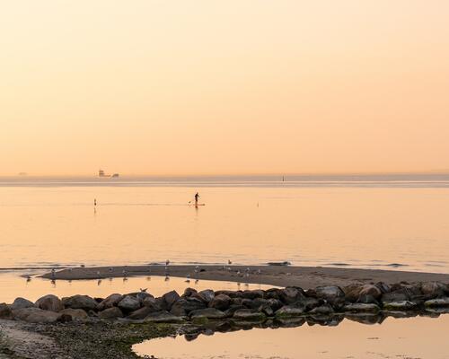 Liebhaver villa med privat strand | Ålsgårde