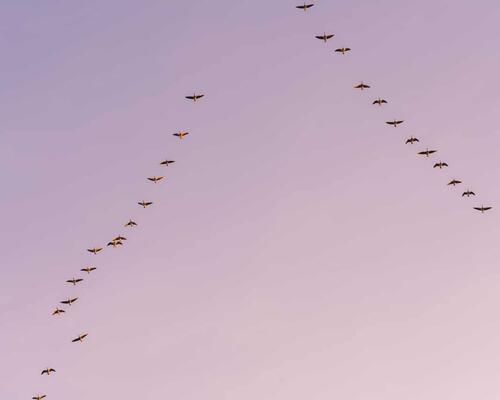 Liebhaver villa med privat strand | Ålsgårde