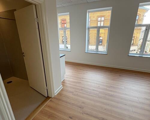 Nyrenoveret 1. værelses lejlighed