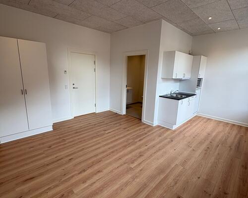 Nyrenoveret 1. værelses lejlighed