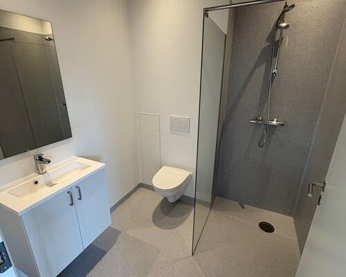 Nyrenoveret 1. værelses lejlighed