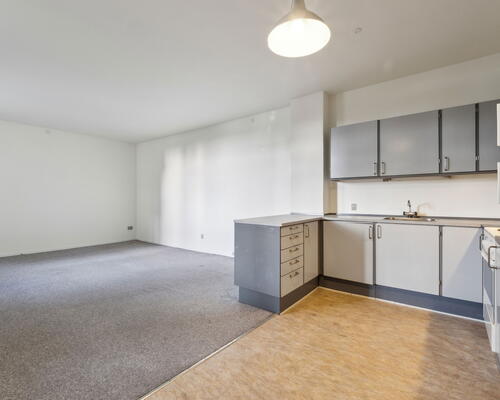 2 værelses lejlighed i Viborg